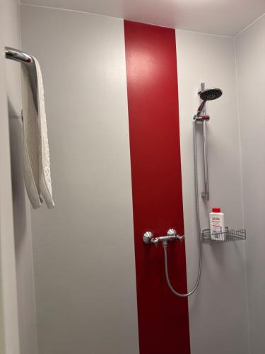 a bathroom with a red and white stripe on the wall at Hotel zur Post in Arnsberg
