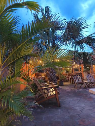 a patio with benches and palm trees at night at El Belga Loco in Las Peñitas