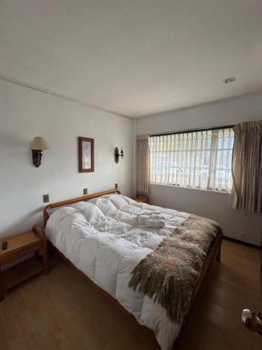 a bedroom with a large white bed with a window at Hotel Boutique WenuPillan in Villarrica
