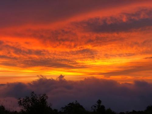 Afbeelding uit fotogalerij van Santa Bárbara in Santa Rosa de Cabal