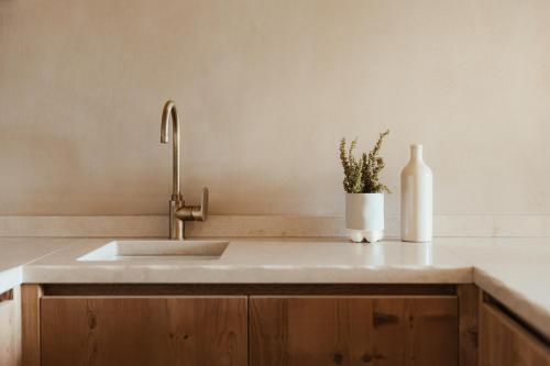 a kitchen counter with a sink and a vase with a plant at Waldrast - Forestside Living in Siusi