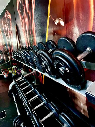 Fitness centrum a/nebo fitness zařízení v ubytování Hotel Portal de Reyes