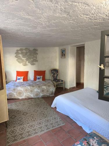 Villa jardin secret centre-ville d'Antibes