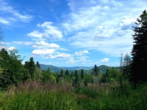 a view of the mountains from a field of trees at Agroturystyka Lawendowa Dolinka Domki Beskid Niski in Chyrowa
