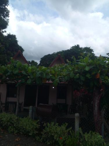 Сад в Cabañas Martina Surf Playa Guanico
