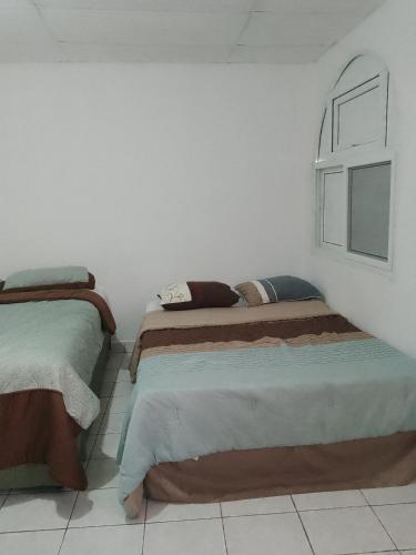 科万Cobán room的白色墙壁客房的两张床