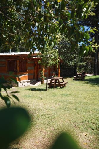 a picnic table in the grass in front of a cabin at Cabañas Alvear in Huerta Grande