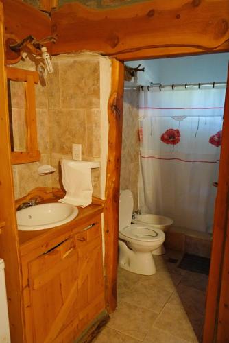 a bathroom with a toilet and a sink and a shower at Cabañas Alvear in Huerta Grande