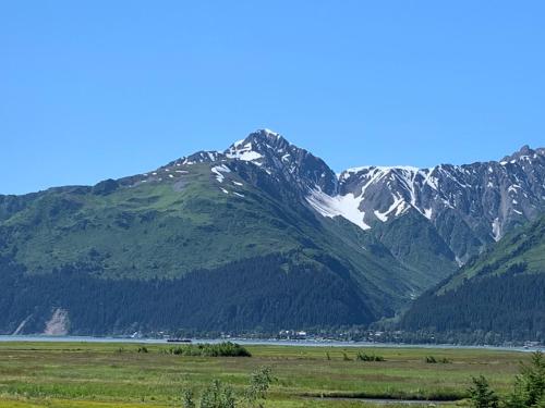 a mountain range with a green field and mountains at Sockeye Cabin in Seward