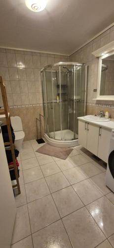 Un baño con ducha, inodoro y lavabo. en Bakkegjerdet 48, en Sula