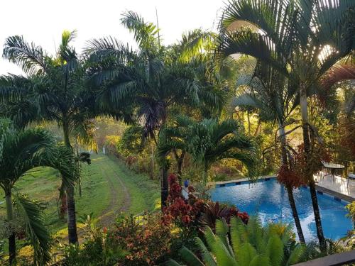 a view of a resort with palm trees and a swimming pool at Casa Tucuche in Las Cuevas
