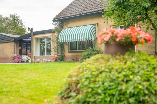 a house with a flower pot in the yard at Wad Fijn in Sexbierum