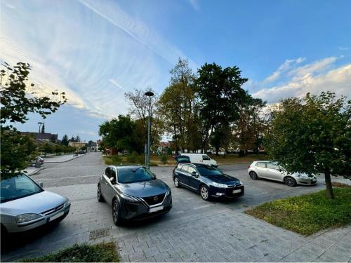 a group of cars parked in a parking lot at Nocleg krótkoterminowy w centrum Rakowa dla 4 osób in Raków