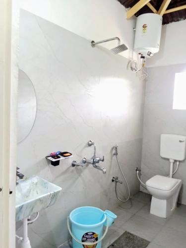 AldūrにあるArdya Home Staysのシャワー、トイレ、洗面台を備えたバスルーム