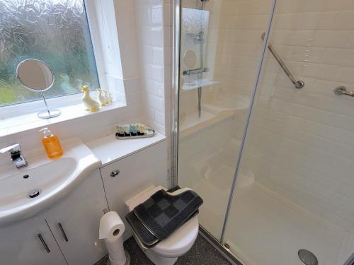 a bathroom with a shower and a toilet and a sink at Top Of The Lane Luxury Holiday Apartment in Benllech
