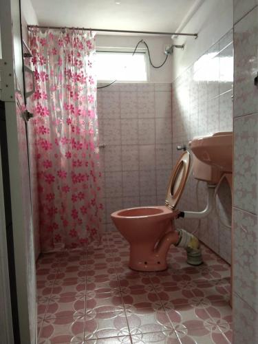 a bathroom with a pink toilet and a sink at Green Villa in Nuwara Eliya