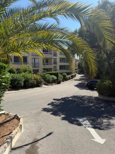 un palmier sur le côté d'une rue dans l'établissement Studio cosy à 200m de la mer!, à Saint-Raphaël