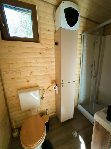a small bathroom with a toilet and a shower at Cabana Padurea Cerbilor in Moara de Pădure