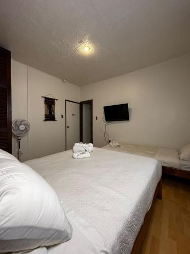 a bedroom with two beds and a tv on the wall at Hotel Boutique WenuPillan in Villarrica