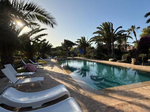 a swimming pool with lounge chairs and palm trees at Domaine des Mimosas in Essaouira