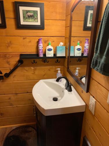 a bathroom with a sink and a mirror at Coho Cabin - Great Views & Fishing in Seward