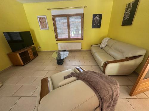 un salon avec un canapé et une télévision dans l'établissement La Maison des Oiseaux Résidence Pernes en Artois, à Pernes