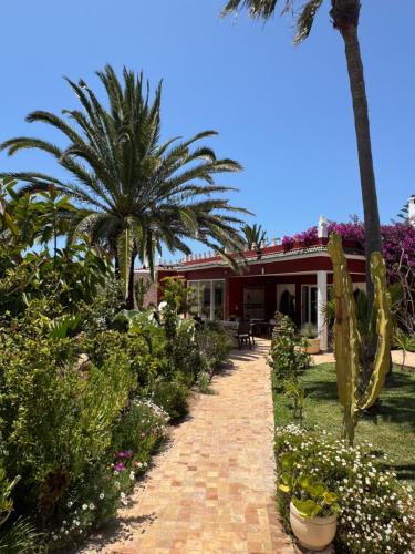 a house with palm trees and a brick driveway at Domaine des Mimosas in Essaouira