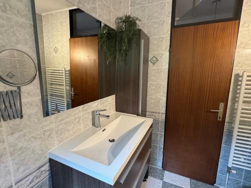 a bathroom with a white sink and a mirror at Hisa Lina Near Bovec in Srpenica