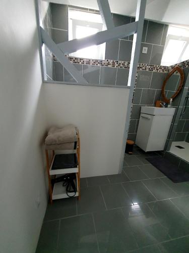 a bathroom with a sink and a toilet in a room at La cachette d Auxerre - Centre Ville in Auxerre