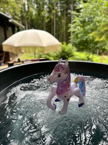 a toy horse in a pool of water at Chalet Látky in Látky