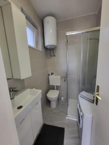 a small bathroom with a toilet and a shower at Apartment MojMir 1 in Zavalatica