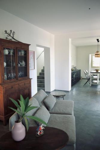 a living room with a couch and a potted plant at Casa nel Sud-Est in Cava dʼAliga