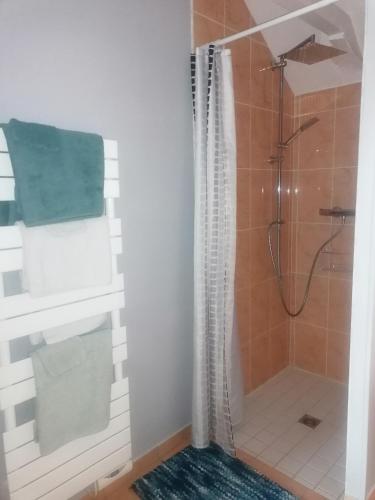 a shower with a glass door in a bathroom at La Parisiere in Gavray