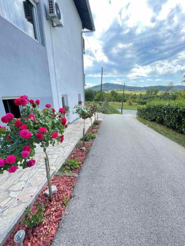 Apartman Antonio