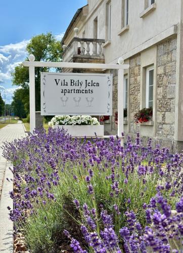 Κήπος έξω από το Vila Bílý Jelen apartments 2