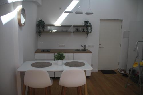 Central Kaunas Apartment