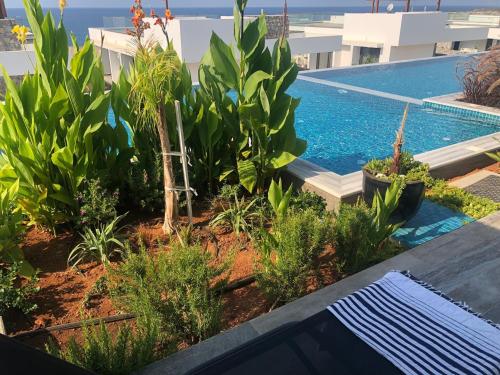 a swimming pool with plants next to a resort at Oceanfront Oasis with Private Pool Stunning Views in Kérynia