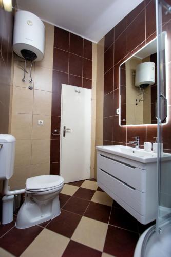a bathroom with a toilet and a sink and a mirror at ACIKA apartments in Rafailovici