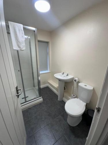 a bathroom with a toilet and a shower and a sink at Minworth Lodge in Minworth