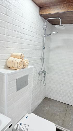 a white bathroom with a shower and a toilet at happy pandasN12 in Borjomi