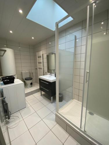 ナンシーにあるAppart Hotel - Les Cosy De Nancy - Place du marché, proche gareのシャワー、洗面台、トイレ付きのバスルーム