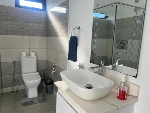 a bathroom with a white sink and a toilet at Villa Lune D'Eau in Poste Lafayette