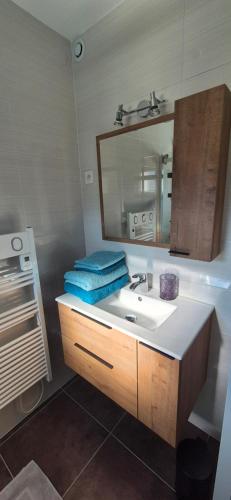 ein Badezimmer mit Waschbecken und Spiegel in der Unterkunft Maison plein coeur de village in Villevieux