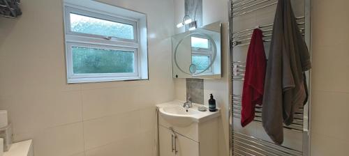 a bathroom with a sink and a mirror at Family house in Greenwich in Eltham