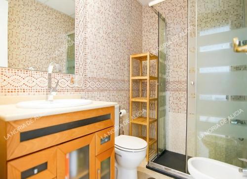 a bathroom with a toilet and a sink and a shower at La Noria de Alicia in San Luis de Sabinillas