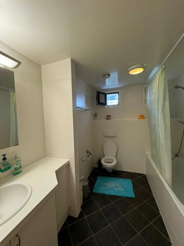 a bathroom with a sink and a toilet and a tub at Habitacion en Lausanne in Lausanne