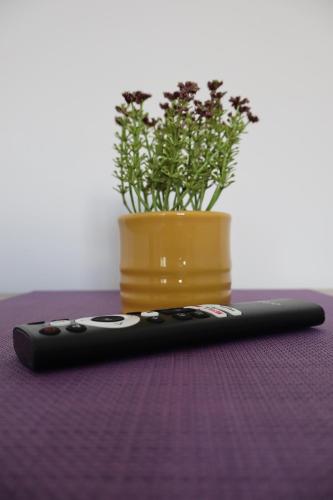 a remote control sitting next to a vase with flowers at Gyumri House Midtown in Gyumri