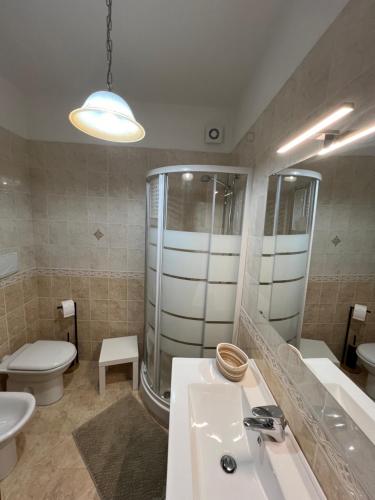 a bathroom with a sink and a shower and a toilet at Oro Blu in Vasto