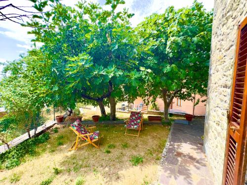 two chairs sitting in a yard with trees at Villa Fiorita tra le Colline del Casentino in Chitignano