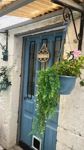 a blue door with a potted plant in front of it at La Vannière in Le Poujol-sur-Orb